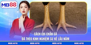 Cách coi chân gà đá