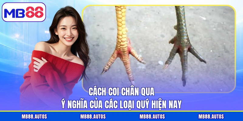 Cách coi chân qua ý nghĩa của các loại quý hiện nay