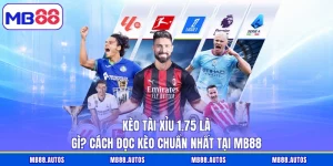 Kèo tài xỉu 1.75 là gì