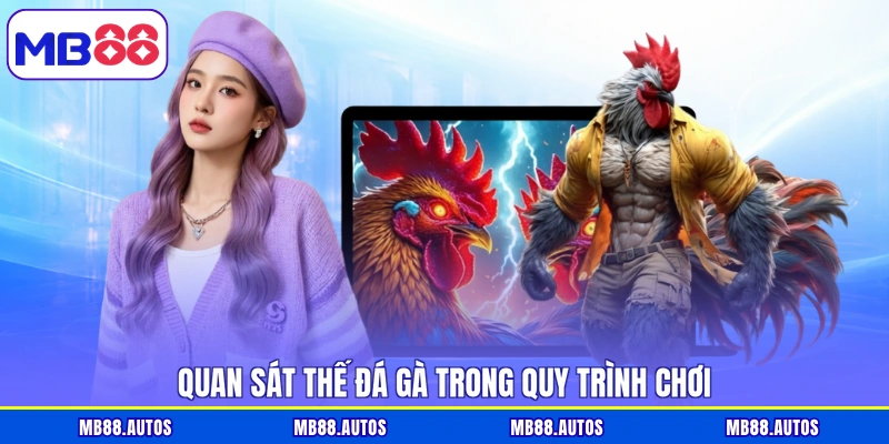 Quan sát thế đá gà trong quy trình chơi